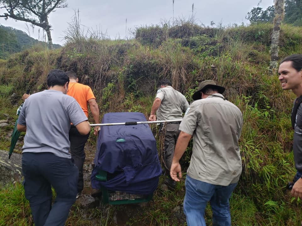 Releasing Tacami the Ocelot, Asis Costa Rica Animal Rescue Center