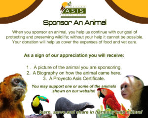 Sponsor an animal - Asis Wildlife rescue, Sloth and Volunteer Center