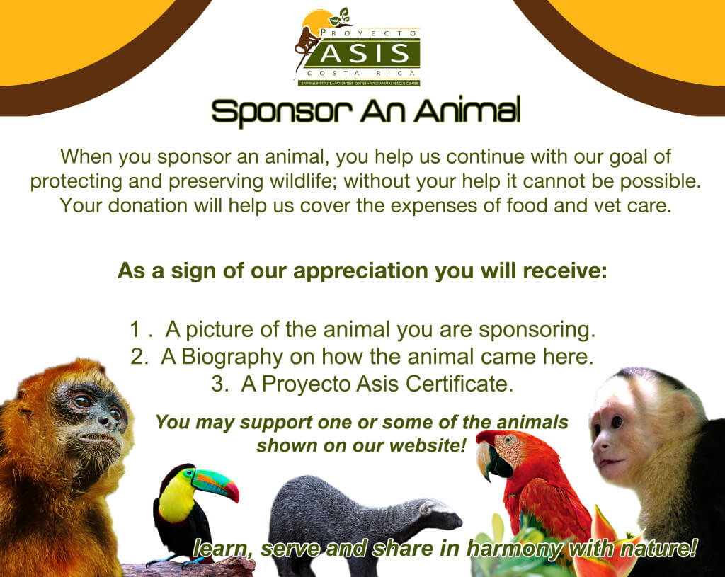 Sponsor an Animal $100 - Asis Wildlife Rescue Center