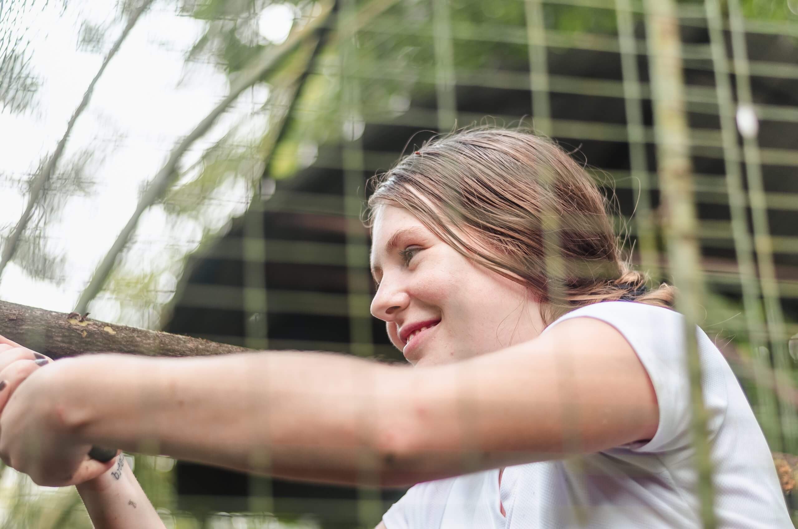 Costa Rica Animal Rescue Center - Volunteer Tour Options