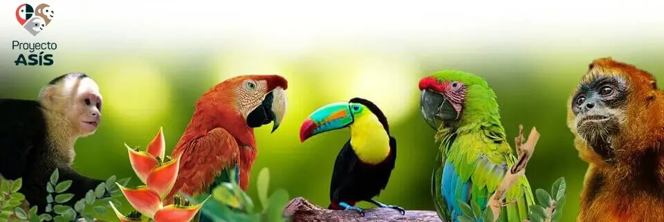 Costa Rica Wildlife Sanctuary